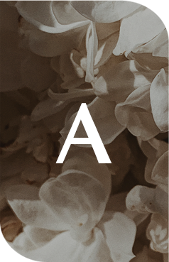 땡큐디에이징 진정성</