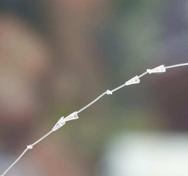 땡큐피부과 실리프팅