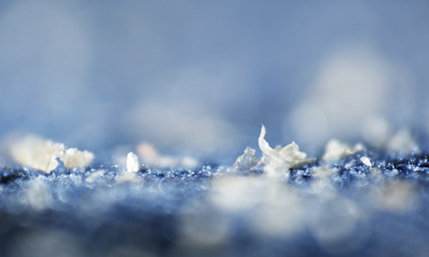 땡큐피부과 탈모 케어