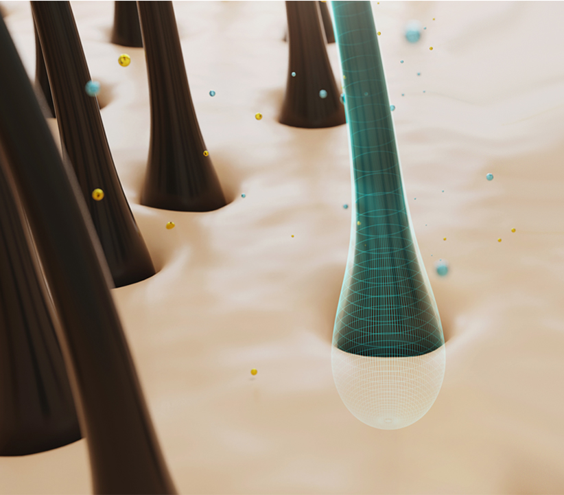 땡큐피부과 탈모 케어