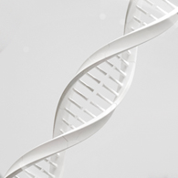 땡큐피부과 수액 솔루션