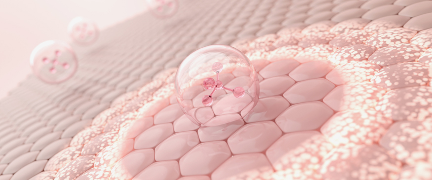 숙련된 의료진과 전문적인 케어 시스템