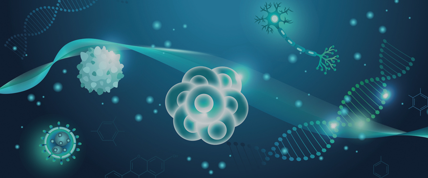 최첨단 시설과 엄격한 안전 관리 시스템