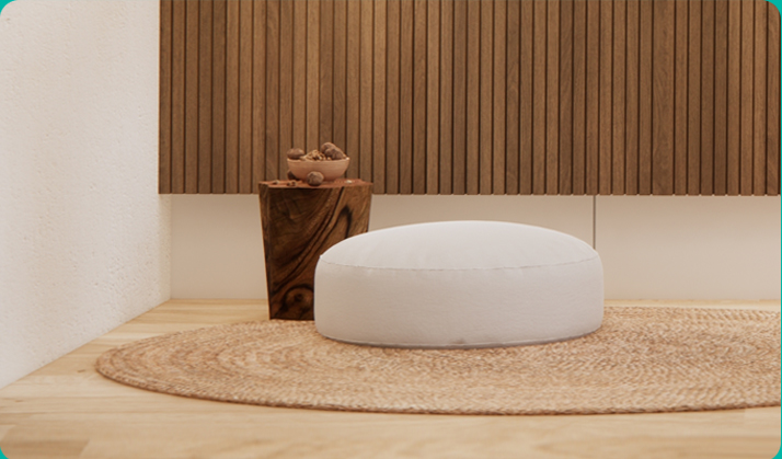 VIP 항노화 프로그램